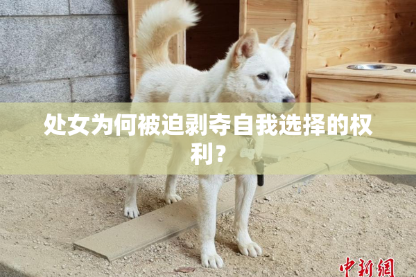 处女为何被迫剥夺自我选择的权利？