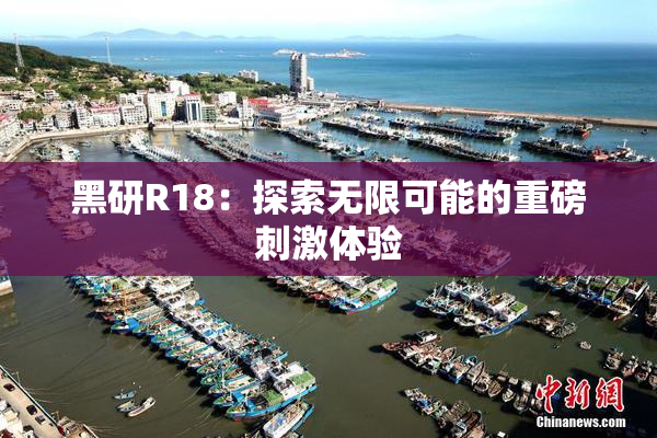 黑研R18：探索无限可能的重磅刺激体验