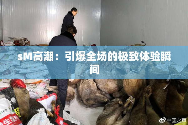 sM高潮：引爆全场的极致体验瞬间