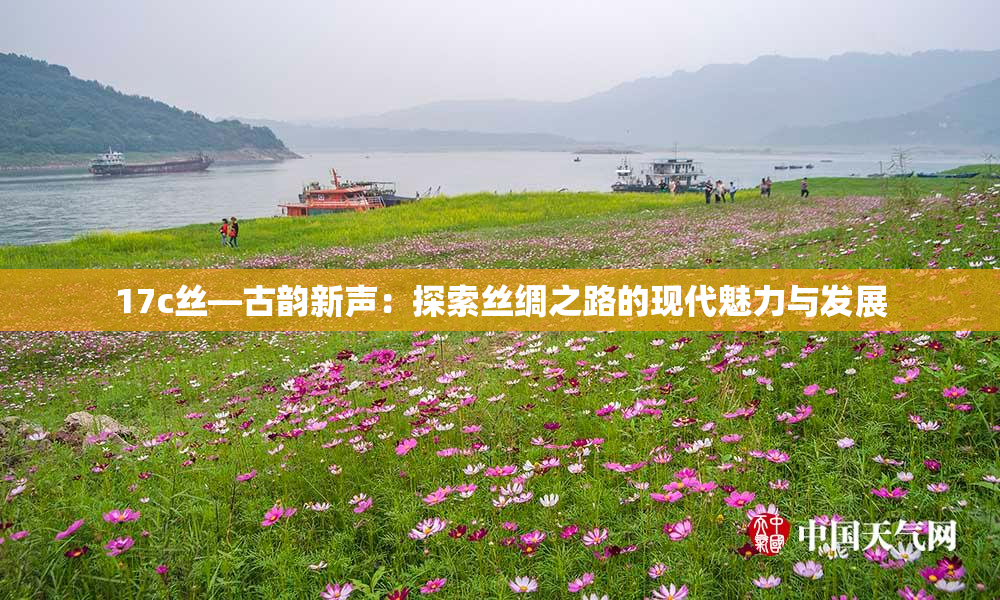 17c丝—古韵新声：探索丝绸之路的现代魅力与发展