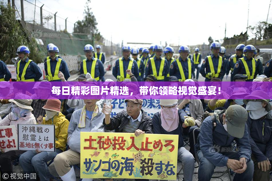 每日精彩图片精选，带你领略视觉盛宴！