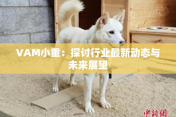 VAM小重：探讨行业最新动态与未来展望