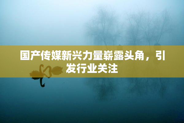 国产传媒新兴力量崭露头角，引发行业关注