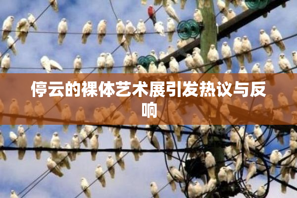 停云的裸体艺术展引发热议与反响