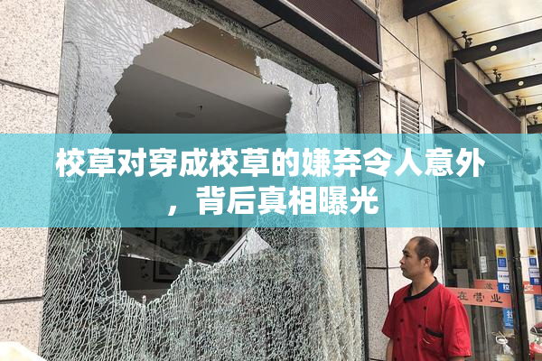 校草对穿成校草的嫌弃令人意外，背后真相曝光
