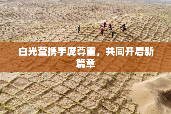 白光莹携手庞尊重，共同开启新篇章