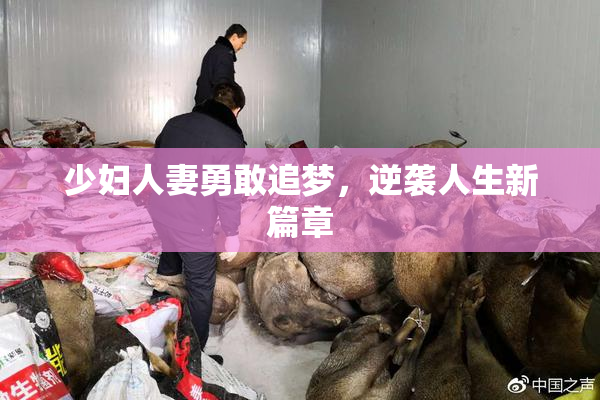 少妇人妻勇敢追梦，逆袭人生新篇章
