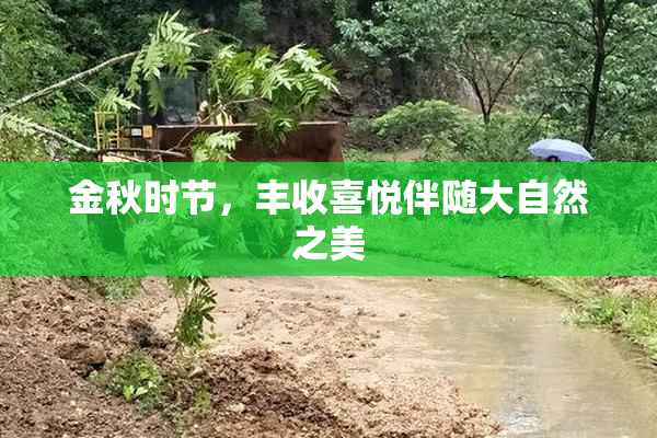 金秋时节，丰收喜悦伴随大自然之美