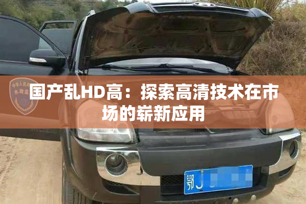 国产乱HD高：探索高清技术在市场的崭新应用