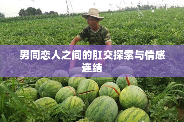 男同恋人之间的肛交探索与情感连结