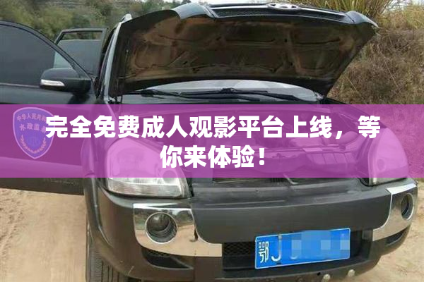 完全免费成人观影平台上线，等你来体验！
