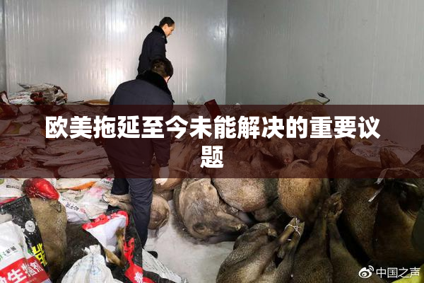 欧美拖延至今未能解决的重要议题