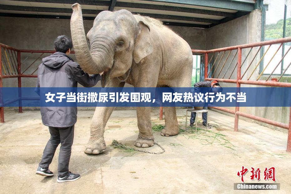 女子当街撒尿引发围观，网友热议行为不当