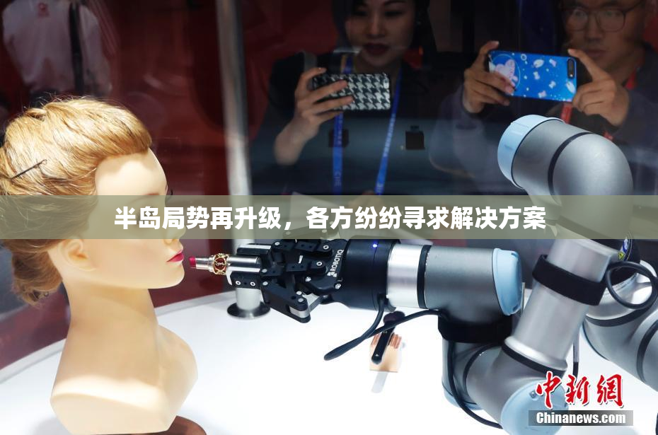 半岛局势再升级，各方纷纷寻求解决方案