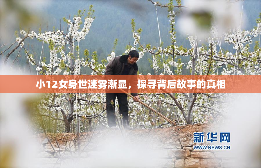 小12女身世迷雾渐显，探寻背后故事的真相
