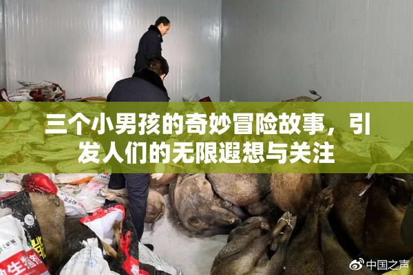 三个小男孩的奇妙冒险故事，引发人们的无限遐想与关注