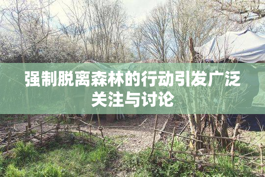 强制脱离森林的行动引发广泛关注与讨论