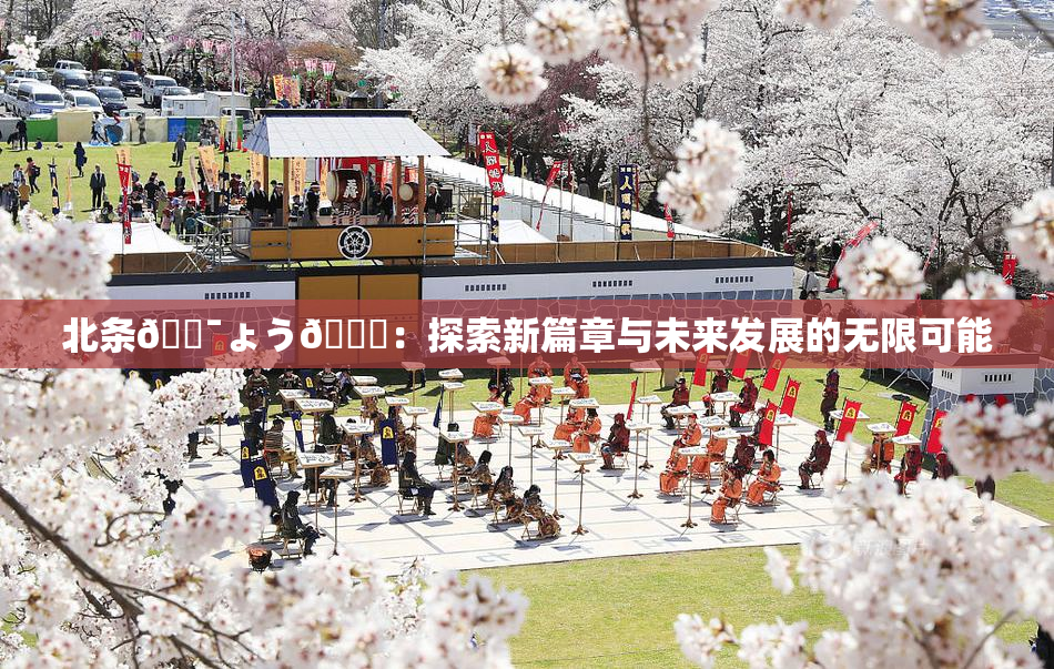 北条🔯ょう🍓：探索新篇章与未来发展的无限可能