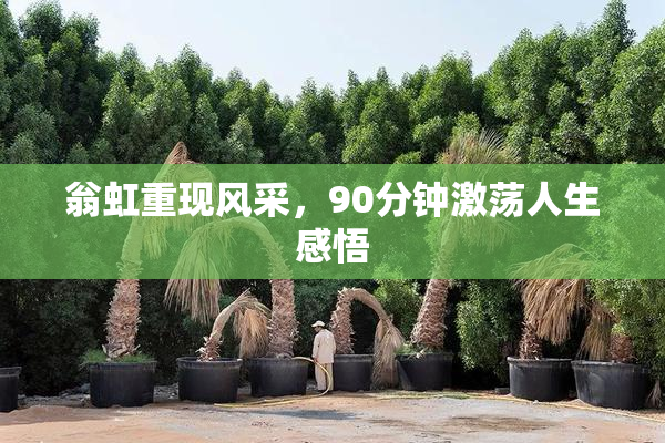 翁虹重现风采，90分钟激荡人生感悟