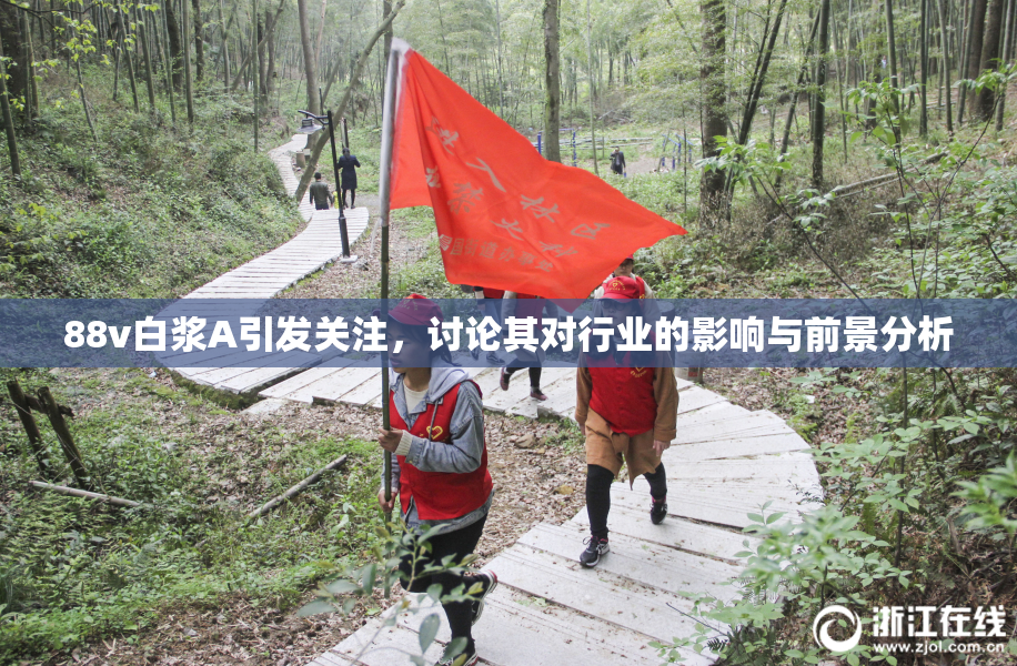88v白浆A引发关注，讨论其对行业的影响与前景分析