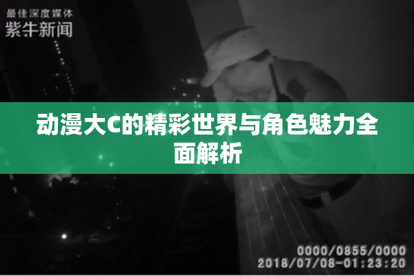 动漫大C的精彩世界与角色魅力全面解析