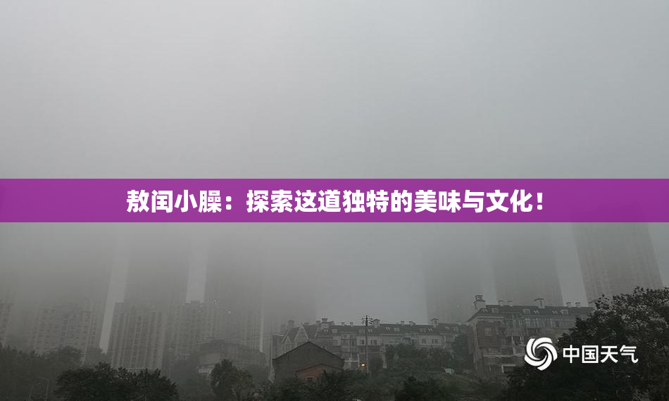 敖闰小臊：探索这道独特的美味与文化！