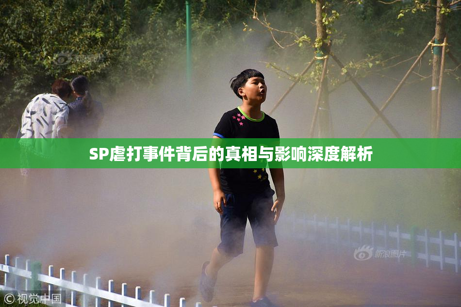 SP虐打事件背后的真相与影响深度解析