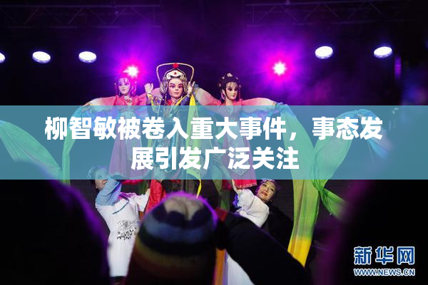 柳智敏被卷入重大事件，事态发展引发广泛关注