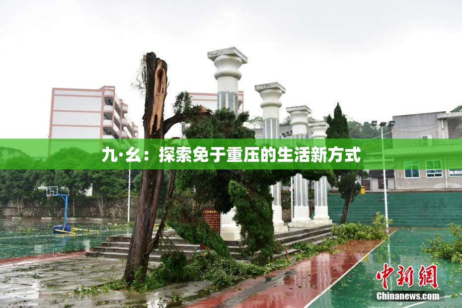 九·幺：探索免于重压的生活新方式