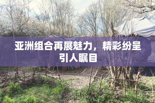 亚洲组合再展魅力，精彩纷呈引人瞩目