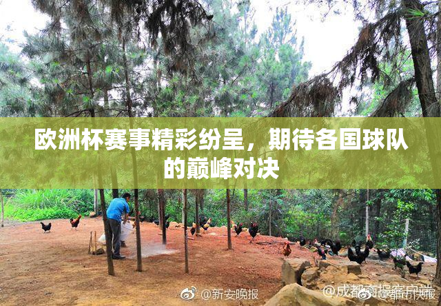 欧洲杯赛事精彩纷呈，期待各国球队的巅峰对决