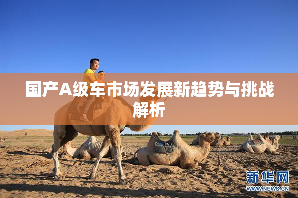 国产A级车市场发展新趋势与挑战解析