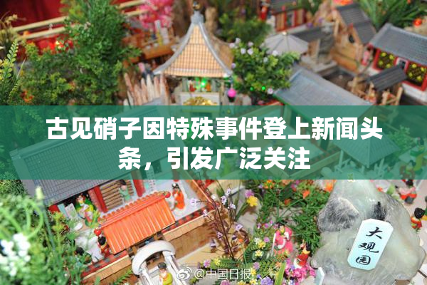 古见硝子因特殊事件登上新闻头条，引发广泛关注