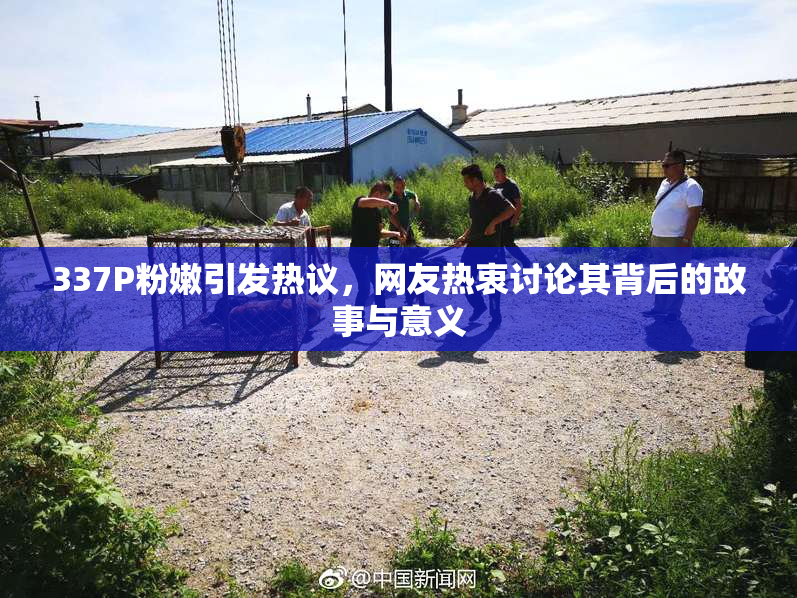 337P粉嫩引发热议，网友热衷讨论其背后的故事与意义