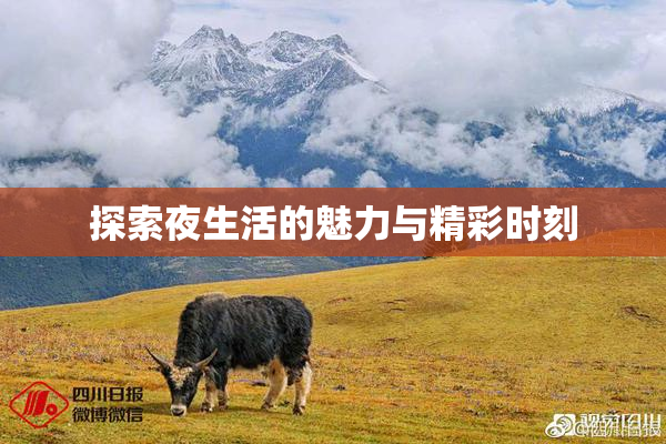 探索夜生活的魅力与精彩时刻