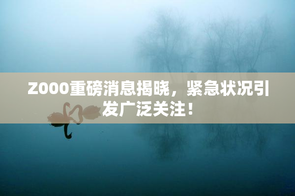 Z000重磅消息揭晓，紧急状况引发广泛关注！