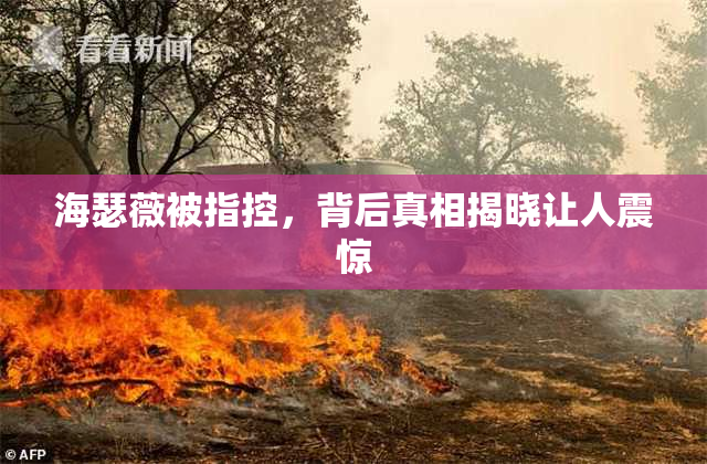 海瑟薇被指控，背后真相揭晓让人震惊