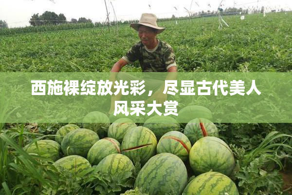 西施裸绽放光彩，尽显古代美人风采大赏