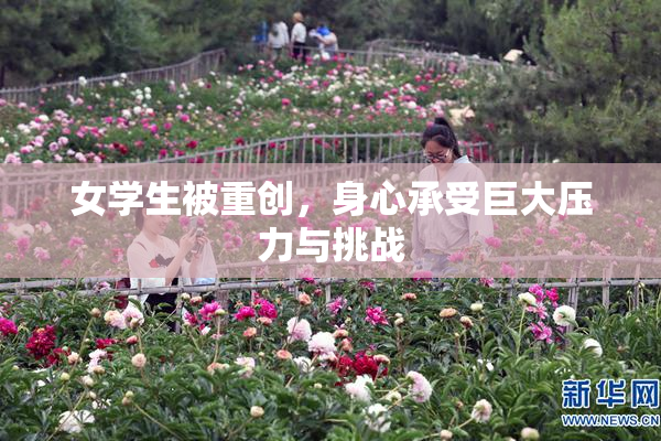 女学生被重创，身心承受巨大压力与挑战
