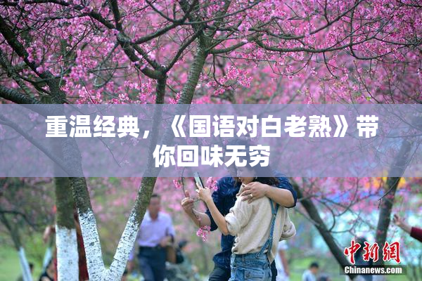 重温经典，《国语对白老熟》带你回味无穷