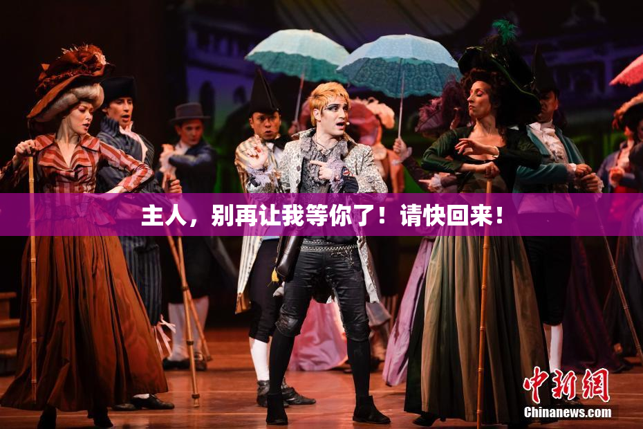 主人，别再让我等你了！请快回来！