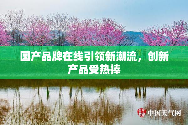 国产品牌在线引领新潮流，创新产品受热捧
