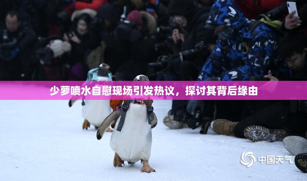 少萝喷水自慰现场引发热议，探讨其背后缘由