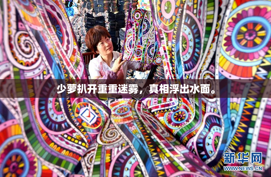 少萝扒开重重迷雾，真相浮出水面。