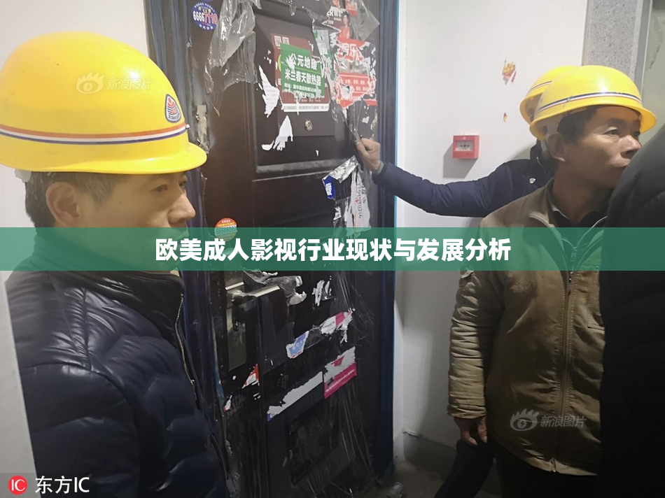 欧美成人影视行业现状与发展分析