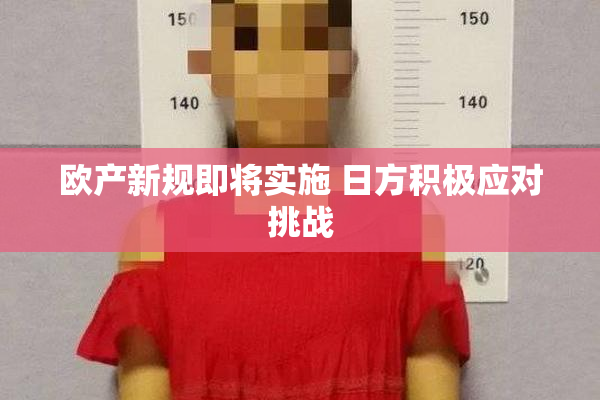 欧产新规即将实施 日方积极应对挑战