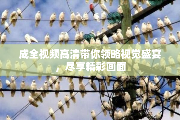 成全视频高清带你领略视觉盛宴，尽享精彩画面