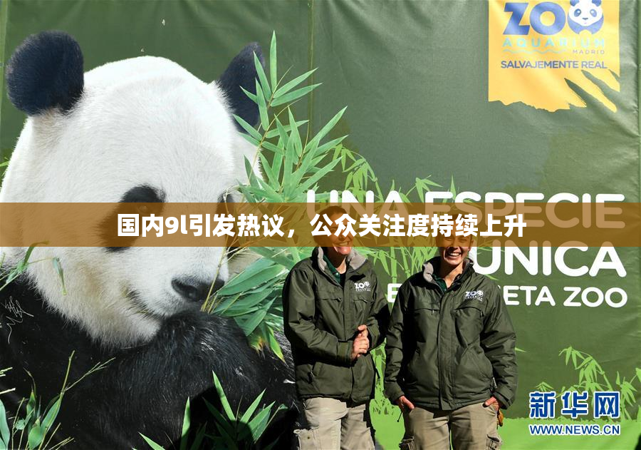 国内9l引发热议，公众关注度持续上升