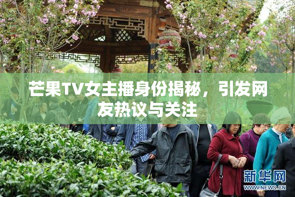 芒果TV女主播身份揭秘，引发网友热议与关注