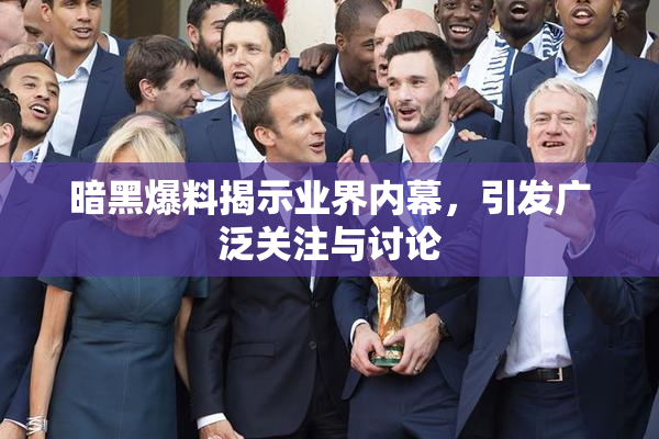 暗黑爆料揭示业界内幕，引发广泛关注与讨论